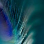 如何在金沙娱乐场享受安全又刺激的游戏体验 5gz3c40j