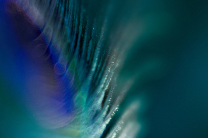 如何在金沙娱乐场享受安全又刺激的游戏体验