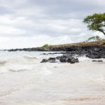 如何安全高效地进行mk体育下载,享受精彩赛事直播 7gby4h4nwe