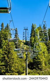 如何挑选完美的金钻：专业人士的实用指南