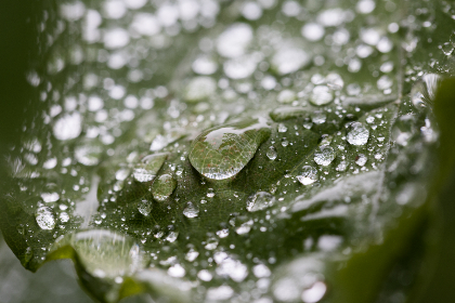 如何安全下载pg电子官网app下载，避免常见陷阱