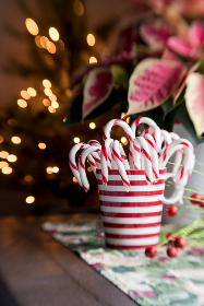 如何在雷速体育电脑版上获取最新体育资讯与比分