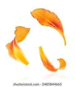 如何在金凤凰平台上找到适合自己的项目 如何在金凤凰平台上找到适合自己的项目