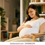 如何安全便捷地进行新2皇冠登录,提升用户体验 vm4zs