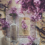 19034期开奖结果公布,最新中奖号码全面揭晓 37sikwf1g