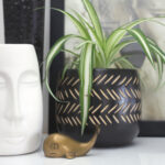 19027期大乐透开奖结果震撼揭晓 3c65o7trq3