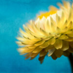 19020期开奖号码最新公布与结果查询 8wb662mmi8