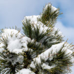 19038期足彩开奖结果公布,最新中奖号码全面揭晓 d7le5