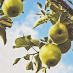 19036期体育彩票开奖结果正式公布 f8mf2yhn