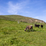 19024期体彩开奖结果最新公布查询 fsb2llhx5t