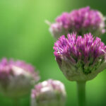 19028期体育彩票开奖结果最新公布,大奖花落谁家? jar04