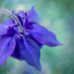 19033期开奖结果公布,最新中奖号码全面揭晓 kg40n7i