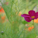 3D开奖2025041期最新开奖结果与号码分析 qn5881e6