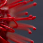 19016期开奖结果震撼揭晓,大奖花落谁家? qwx77