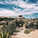 19036期彩票开奖时间及结果查询指南 s6zsmi8z5