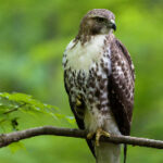 19041期体彩开奖结果揭晓:大奖花落谁家引关注 uw9nt